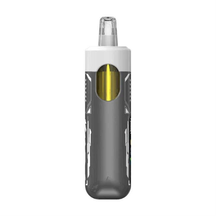 modular and reusable disposable vape